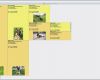 Time System Vorlagen Kostenlos Download Großartig Hundezucht software Stammbaum Zucht Hundescout