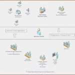 Timeline Vorlage Word Luxus 7 Timeline Vorlage Für Word Vorlagen123 Vorlagen123