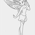Tinkerbell Tattoo Vorlage Hübsch Ausmalbilder Malvorlagen Feen