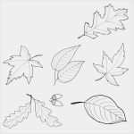 Tischkarten Drucken Vorlage Beste Fensterbilder Für Den Herbst Basteln 25 Ideen Und Vorlagen