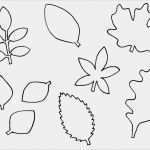 Tischkarten Herbst Vorlagen Wunderbar Blätter Vorlage Jackpotkönig