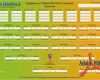 Tischkicker Turnier Spielplan Vorlage Erstaunlich Wm Spielplan Zum Download Und Ausdrucken Als Pdf