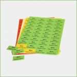 Tombola Lose Vorlage Inspiration tombola Lose Vorlage Schöne Gutscheine Verpflegungsbons