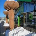 Tourenplan Vorlage Beste Überwinterung Gartencenter Tropica Grün Erleben