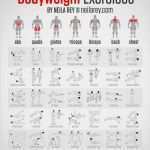 Trainingsplan Basketball Vorlage Hübsch Musculation Pectoraux Sans Matériel Muscu Maison