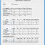 Trainingsplan Triathlon Excel Vorlage Schönste 6 Training Plan Template Excel Exceltemplates