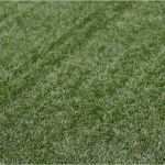 Trainingsplanung Fußball Vorlage Wunderbar Fußball "opium Des Volkes" – Fussballstrategen