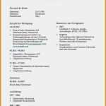 Trans Lebenslauf Vorlage Angenehm Chronologischer Lebenslauf Vorlage Kostenlos Ktforsenate