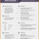 Trans Lebenslauf Vorlage Beste 15 Vorlage Cv English