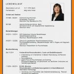 Trans Lebenslauf Vorlage Cool 8 Bewerbung Lebenslauf 2014