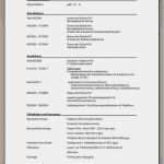 Trans Lebenslauf Vorlage Erstaunlich 15 Lebenslauf Fr Hrerschein Angeben Muster