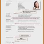 Trans Lebenslauf Vorlage Erstaunlich 15 Sculerlebenslauf