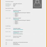 Trans Lebenslauf Vorlage Erstaunlich 8 Bewerbung Lebenslauf 2014