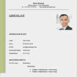 Trans Lebenslauf Vorlage Großartig 12 Professioneller Lebenslauf Muster
