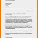 Trans Lebenslauf Vorlage Großartig 7 Briefvorlage Bewerbung