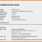 Trans Lebenslauf Vorlage Hübsch 15 Vorlage Cv English