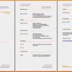 Trans Lebenslauf Vorlage Schönste 12 Professioneller Lebenslauf Muster