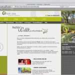 Transkription Interview Vorlage Einzigartig Decorum