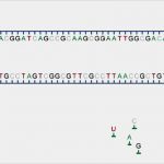 Transkription Vorlage Neu Gruppe A