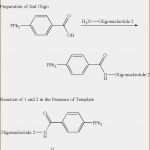 Transkription Vorlage Word Elegant 6 Website Vorlage Für Handelsunternehmen Vorlagen123