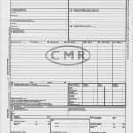 Transportauftrag Vorlage Fabelhaft 13 Vorlage Transportauftrag