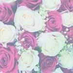 Trauer Briefpapier Vorlagen Kostenlos Fabelhaft Kostenloses Briefpapier "trauer" Vorlagen Zum Selbst