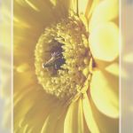 Trauer Briefpapier Vorlagen Kostenlos Hübsch Kostenloses Briefpapier Vorlagen Zum Selbst Ausdrucken