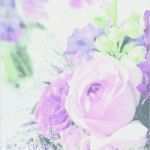 Trauer Briefpapier Vorlagen Kostenlos Süß Trauer Briefpapier Vorlagen Kostenlos Gut Kostenloses