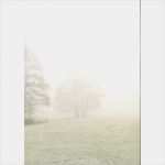 Trauer Briefpapier Vorlagen Kostenlos Wunderbar Design Trauer Blatt A4 Bäume Papierhaus Ihr Line