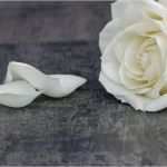 Trauer Danksagung Vorlagen Genial Danksagung Trauer