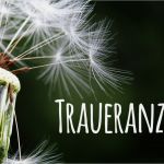 Traueranzeige Vorlage Word Wunderbar todesanzeigen Und Traueranzeigen Aus Deutschland