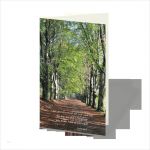 Trauerdanksagungen Texte Vorlagen Beste Einfühlsame Entwürfe Individueller Trauerkarten Und