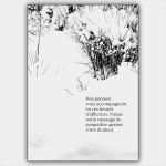 Trauerkarte Text Vorlage Neu Tröstende Französische Trauerkarte Nos Pensées Vous