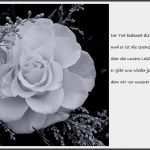 Trauerkarte Vorlage Download Kostenlos Inspiration Trauerkarte Trost 89 898 Klicks Foto & Bild