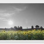 Trauerkarte Vorlage Download Kostenlos Inspiration Trauerkarten Ausdrucken Kostenloser Download Für Private