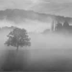 Trauerkarte Vorlage Download Kostenlos Inspiration Trauerkarten Ausdrucken Kostenloser Download Für Private