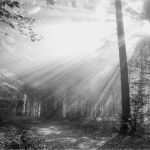 Trauerkarte Vorlage Download Kostenlos Luxus Trauerkarten Ausdrucken Kostenloser Download Für Private