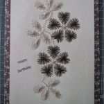 Trauerkarten Basteln Vorlagen Erstaunlich Glückwünsche Zum Geburtstag Mit Fadengrafik