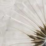 Trauerkarten Kostenlose Vorlagen Großartig Trauerkarte Vorlage Download Kostenlos Elegant Vorlage