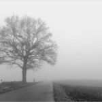 Trauerkarten Vorlagen Zum Ausdrucken Bewundernswert Schwarzweisskarten Ausdrucken Kostenloser Download