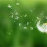 Trauerkarten Vorlagen Zum Ausdrucken Neu Trauerkarten Kostenlos Ausdrucken Rahmen 33 Elegant Bilder