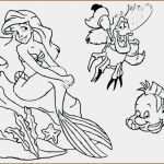 Trauzeugenrede Vorlage Hübsch 5 Druckbare Kleine Meerjungfrau Malvorlagen Vorlagen123