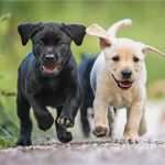 Trennungsvereinbarung Vorlage Kostenlos Inspiration Kaufvertrag Küche Muster Privat E Geräte Für Ikea Küche