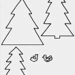 Trockenfilzen Vorlagen Fabelhaft Großartig Weihnachtsbaum Vorlagen Galerie