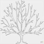 Trockenfilzen Vorlagen Inspiration Malvorlage Tannenbaum Einfach Kostenlos Vorlagen