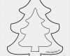 Trockenfilzen Vorlagen Wunderbar Malvorlage Tannenbaum Einfach Kostenlos Vorlagen