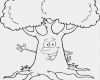 Trockenfilzen Vorlagen Wunderbar Malvorlage Tannenbaum Einfach Kostenlos Vorlagen