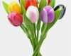 Tulpen Aus Holz Vorlagen Wunderbar Dutch Wooden Tulip Bouquet Multicolor Dutch Clogs