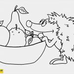 Türschild Kinderzimmer Vorlagen Einzigartig Türschilder Zum Ausmalen De Hellokids Avec Türschild