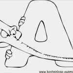 Türschilder Vorlagen Gratis Elegant Malvorlagen Alphabet Abc